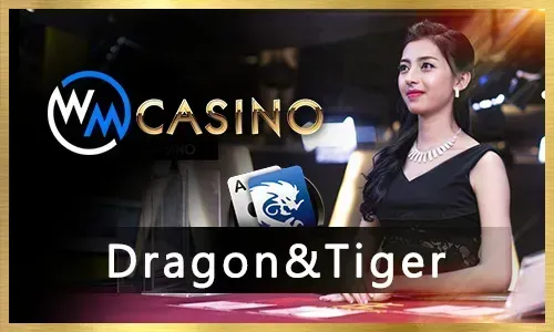 Responsible gaming concept with ph365 logo and support icons